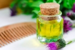 Prednosti repinčevega olja za lase
